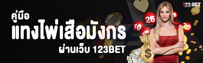 คู่มือแทงไพ่เสือมังกร ผ่านเว็บ 123bet