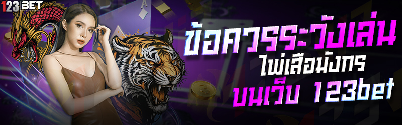 ข้อควรระวังเล่น ไพ่เสือมังกร บนเว็บ 123bet 01.06.2